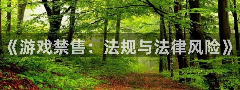 完美电竞官网子财经图书：《游戏禁售：法规与法律风险》