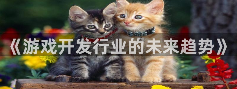 完美电竞游戏平台介绍：《游戏开发行业的未来趋势》