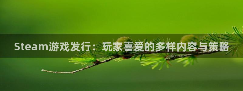 完美电竞注册方法是什么软件