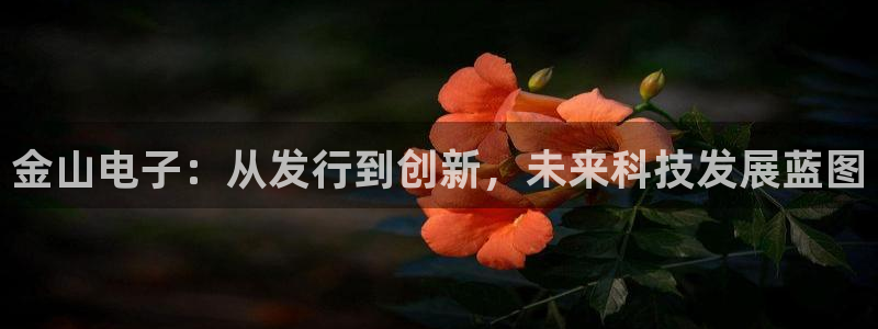完美电竞官网品牌策划公司：金山电子：从发行到创新，未来科技发展蓝图