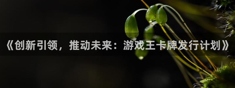 广州完美电竞官网网络科技有限公司电话：《创新引领，推动未来：游戏王卡牌发行计划》