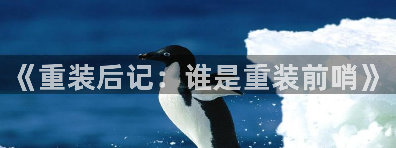 完美电竞官网子文化