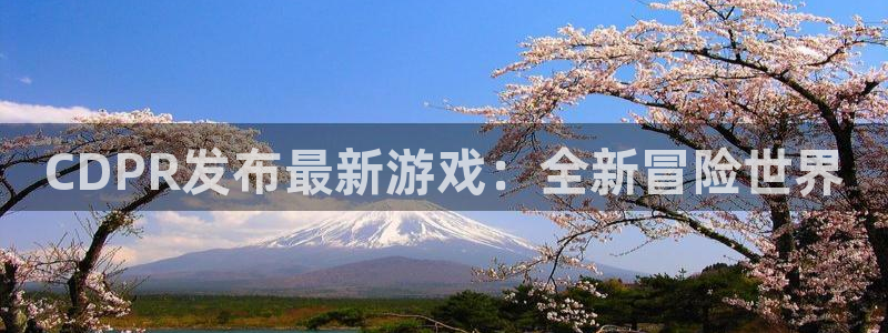 完美电竞登录注册账号密码