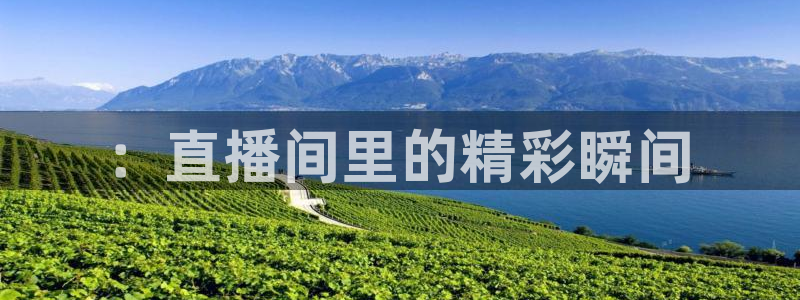 球神直播体育在线观看网站：：直播间里的精彩瞬间