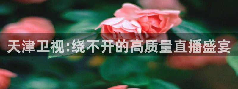 球神直播体育在线观看：天津卫视:绕不开的高质量直播盛宴