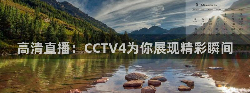 球神直播体育在线观看网站