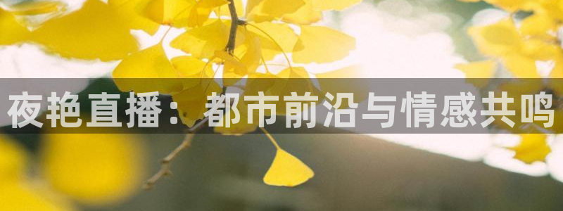 球神直播间：夜艳直播：都市前沿与情感共鸣