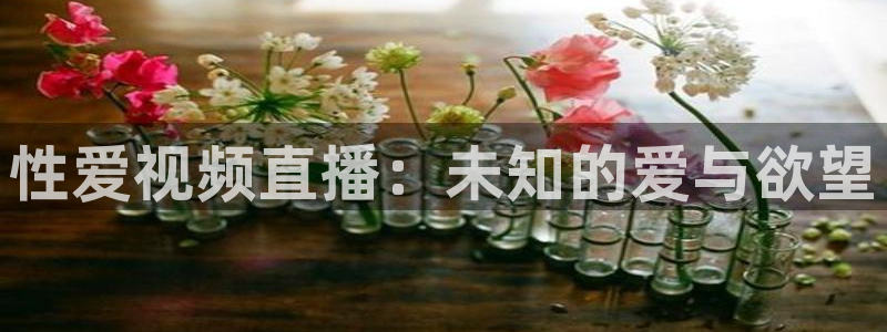 球神体育