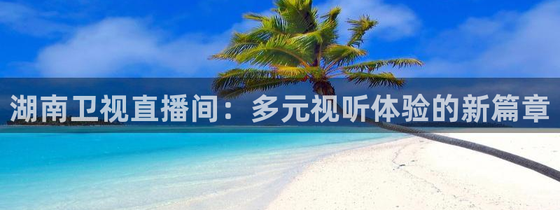 足球球神直播在线观看：湖南卫视直播间：多元视听体验的新篇章