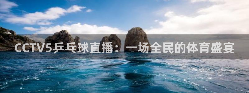 黑白直播免费高清看球神器：CCTV5乒乓球直播：一场全民的体育盛宴