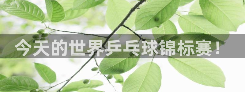 球神体育直播在线：今天的世界乒乓球锦标赛！